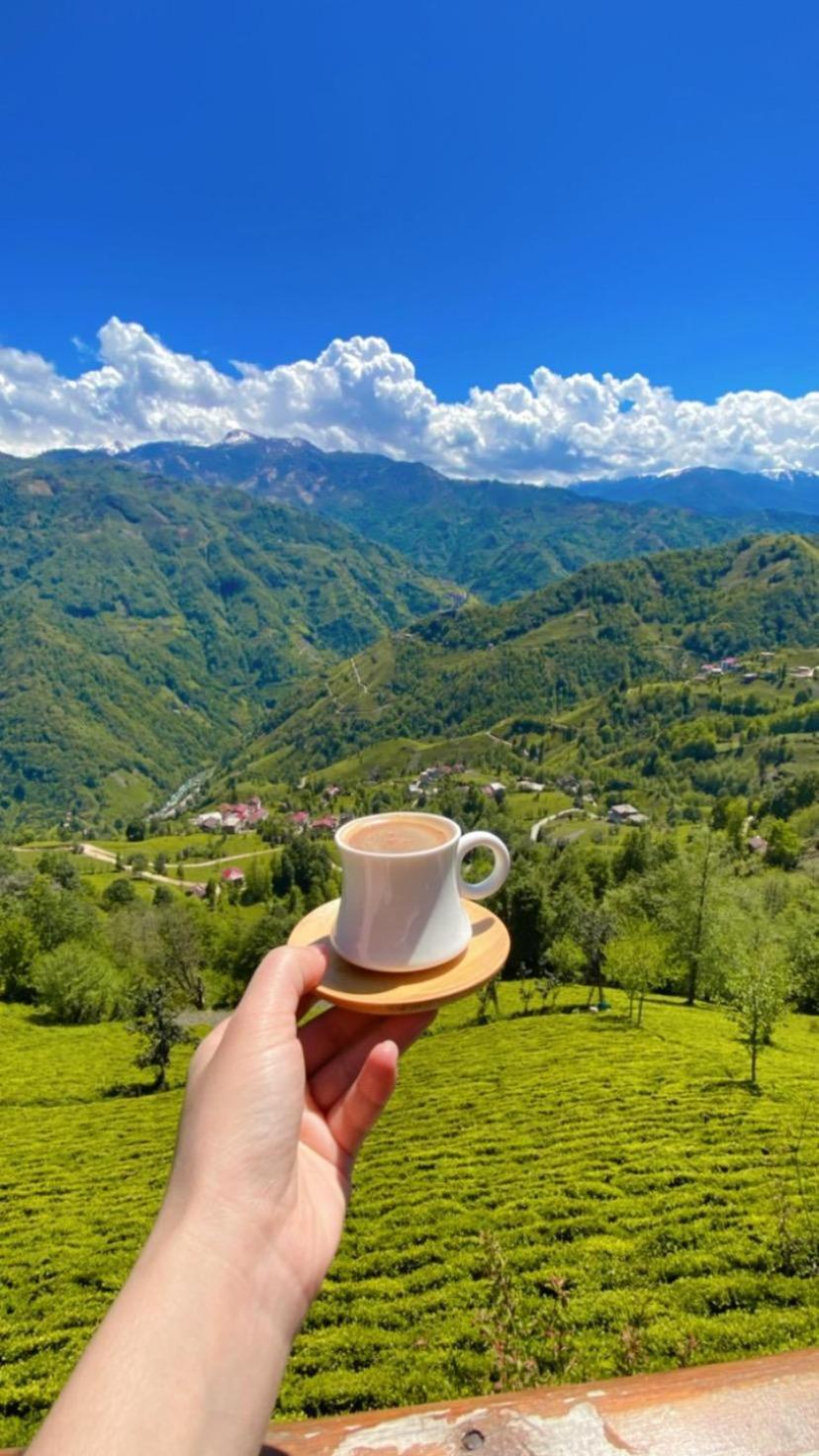 Pera Bungalov Ardeşen Екстериор снимка